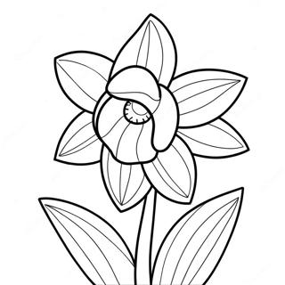 Dp Tsbyh Shl Pryht Nrkys Gdvlh 120657-55356