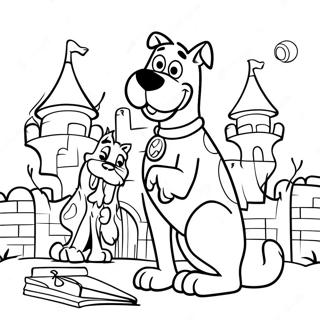 Dp Tsbyh Shl Skvby Dv Btyrh Mphydh 13237-2896