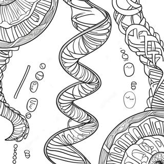 דף צביעה של סליל Dna כפול דפי צביעה