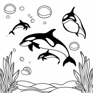 Dp Tsbyh Shl Mshpht Lvvytn Rvtsh 63070-13933